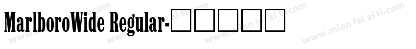 MarlboroWide Regular字体转换